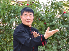 许国强宝刀不老，七旬率队修太极