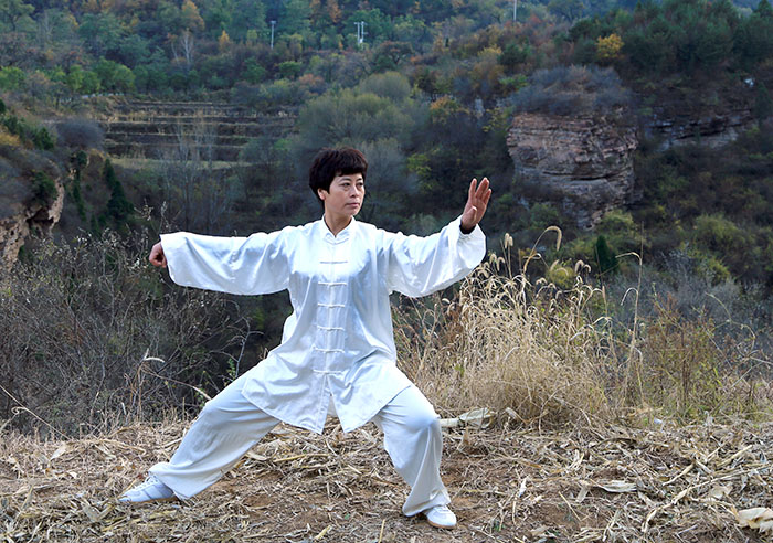 张文先获得太极拳高级拳师证书