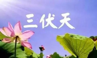 太极拳“夏练三伏”应该注意什么?