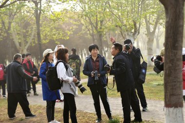 多位摄影家协会会员与孟州市太极拳协会共同打造大美太极画卷
